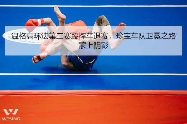 wen-ge-gao-huan-fa-di-san-sai-duan-shuai-che-tui-sai-zhen-bao-che-dui-wei-mian-zhi-lu-meng-shang-yin-ying-2-280.jpg