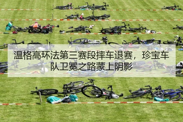 wen-ge-gao-huan-fa-di-san-sai-duan-shuai-che-tui-sai-zhen-bao-che-dui-wei-mian-zhi-lu-meng-shang-yin-ying-3-388.jpg