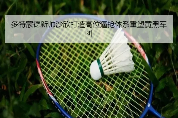 duo-te-meng-de-xin-shuai-sha-xin-da-zao-gao-wei-bi-qiang-ti-xi-zhong-su-huang-hei-jun-tuan-2-881.jpg