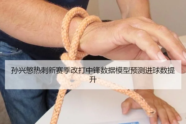 sun-xing-min-re-ci-xin-sai-ji-gai-da-zhong-feng-shu-ju-mo-xing-yu-ce-jin-qiu-shu-ti-sheng-3-603.jpg