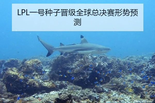 LPL一号种子晋级全球总决赛形势预测