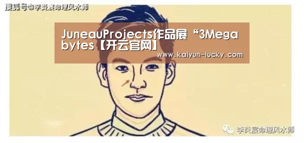 JuneauProjects作品展“3Megabytes【开云官网】(图1) 开云官网