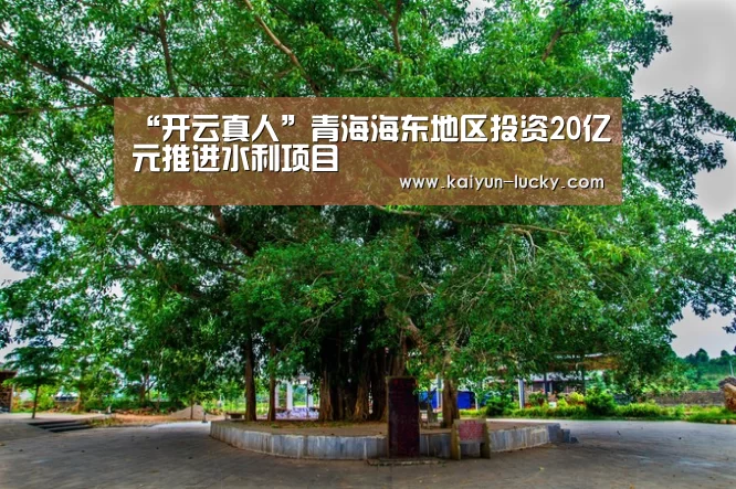 “开云真人”青海海东地区投资20亿元推进水利项目(图3) 开云平台