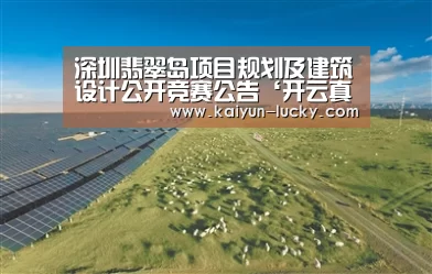 深圳翡翠岛项目规划及建筑设计公开竞赛公告‘开云真人’(图4) 开云真人